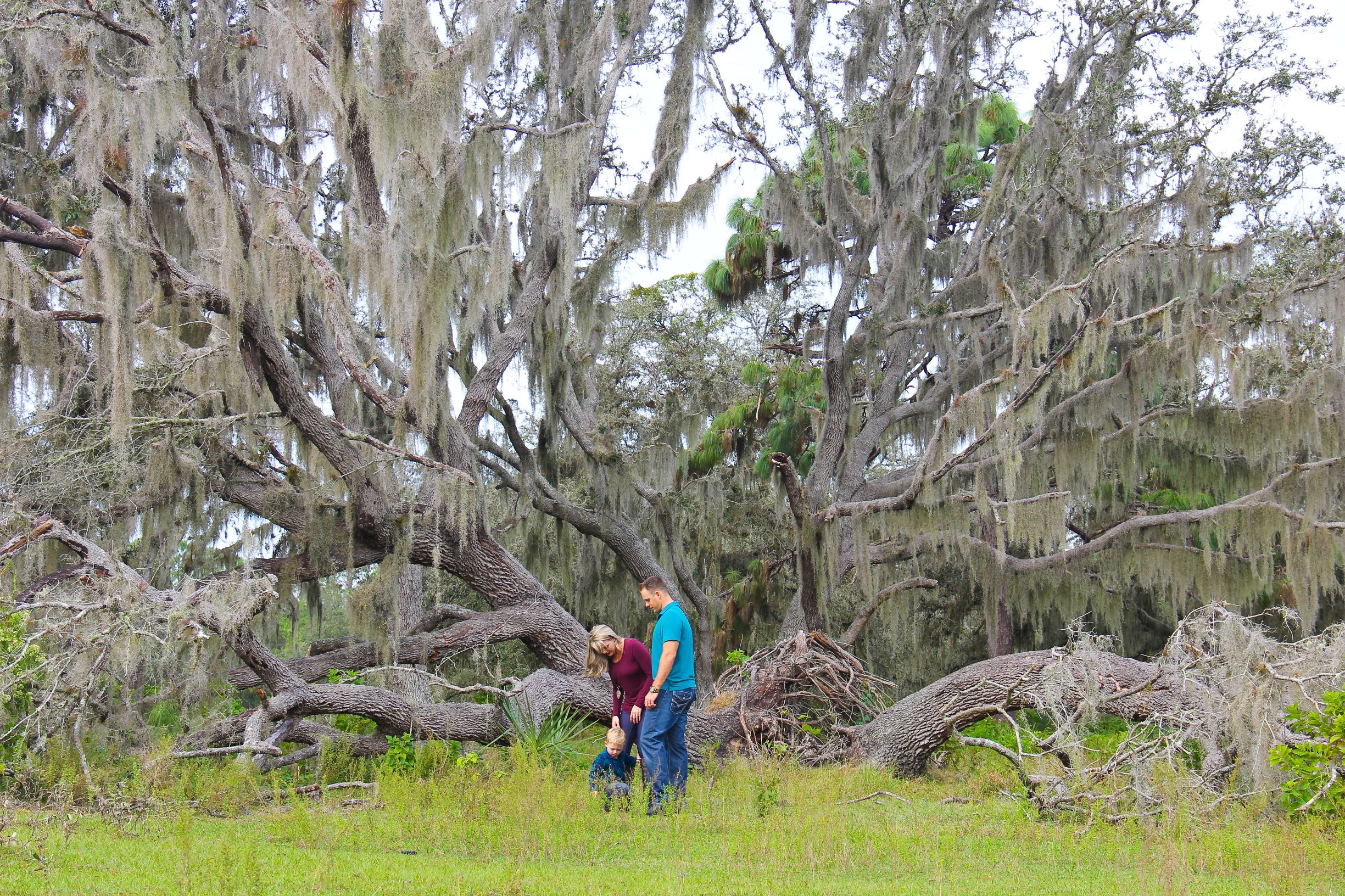 Sarasota Wedding Photographer